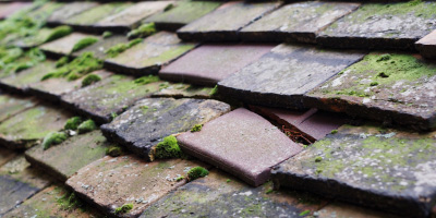 Cerrig Man roof repair costs